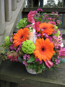 Bountiful Gerberas